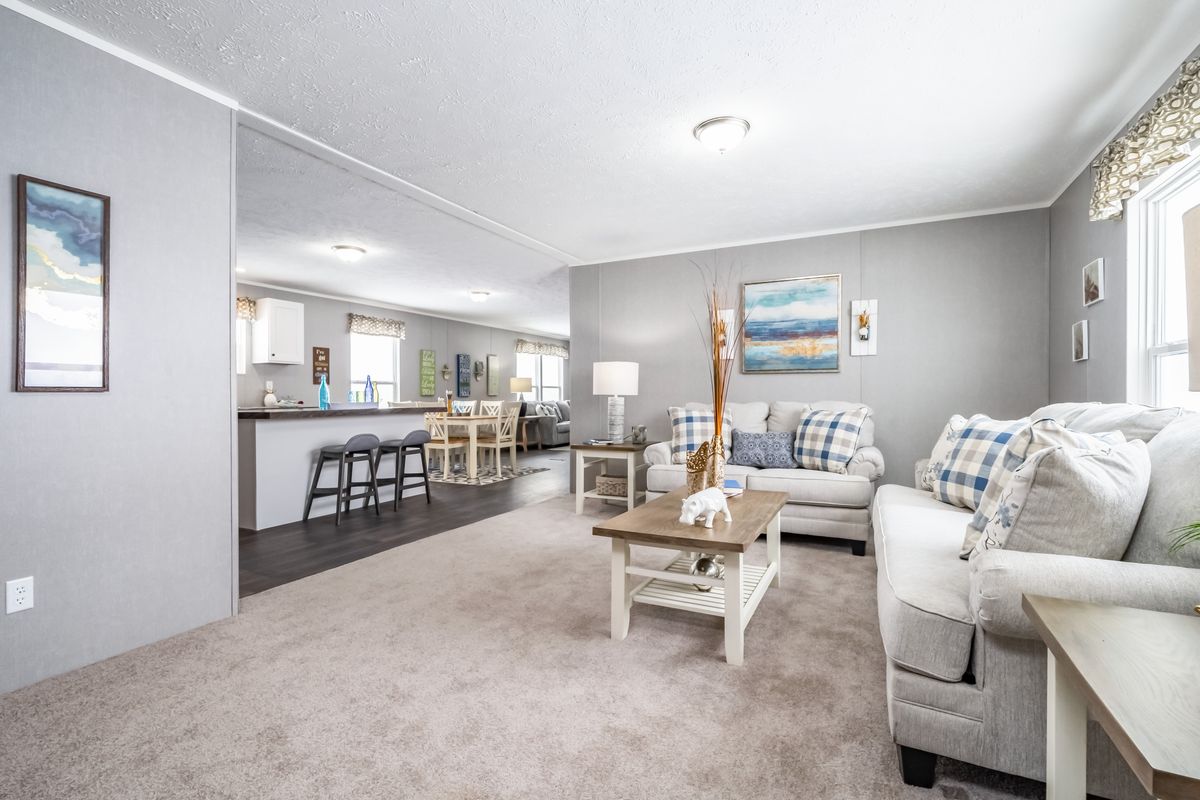 living room, couches, coffee table