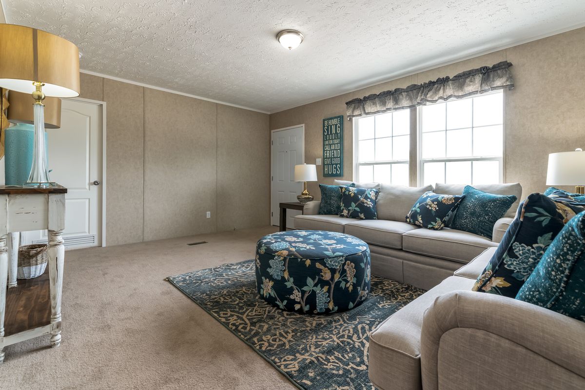 living room, couches