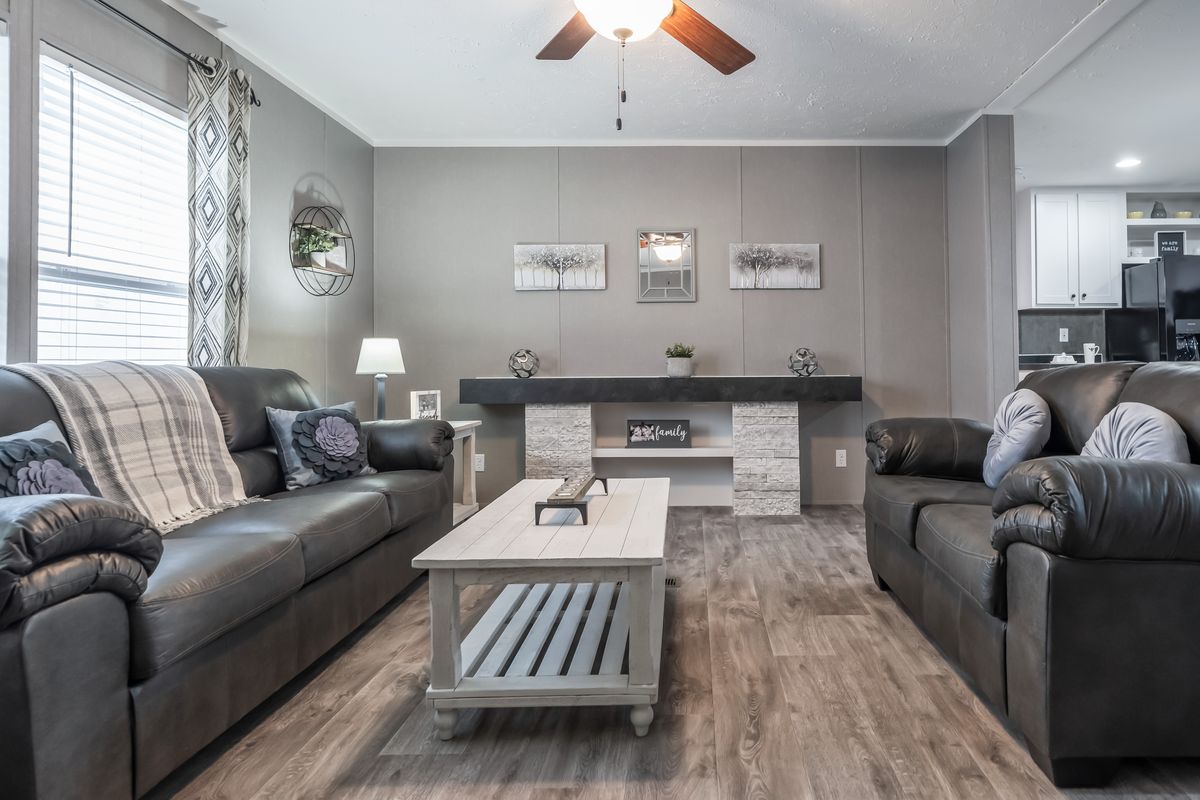 couches, ceiling fan