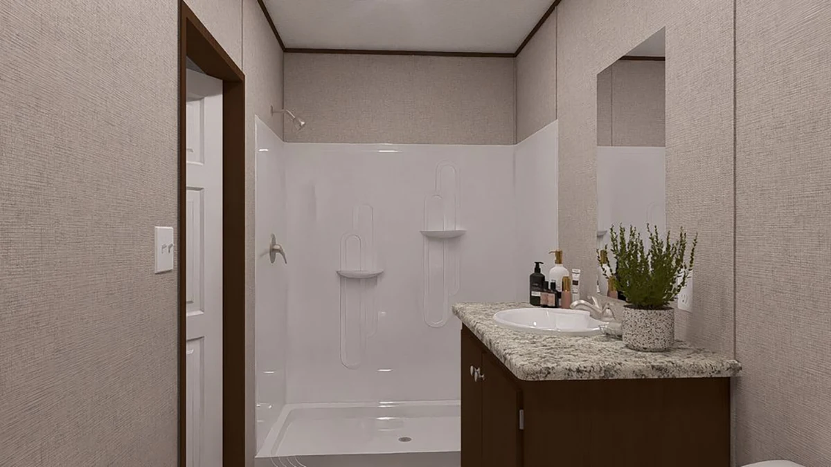 86011708-9e54-4727-981f-76af31fb7b0f Bathroom with a walk-in shower, a sink with granite countertop, a mirror above the sink, and various toiletries and a potted plant on the counter.