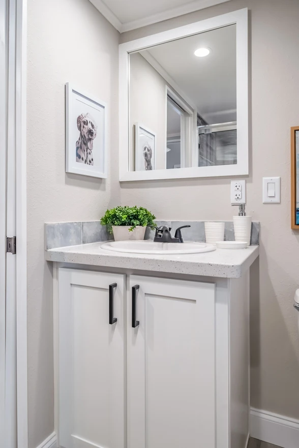 chariot_eagle_eagle_eg12341a_bath_vanity_0693_1_1673903462611_588_12 A small bathroom vanity with a white cabinet, sink, potted plant, two cups, and a mirror above. A framed dog illustration hangs on the wall.