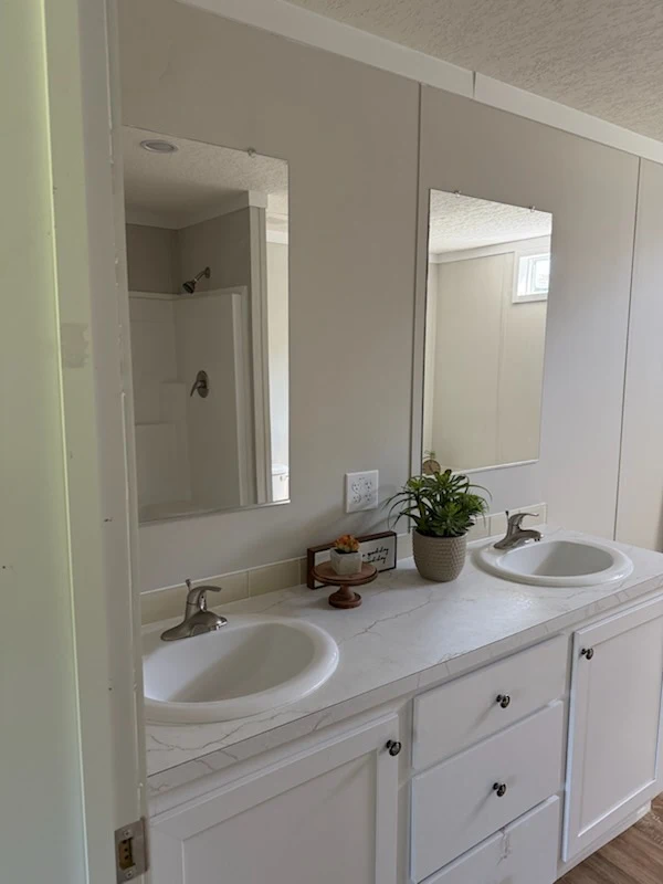 A bathroom countertop with two white sinks, two mirrors, silver faucets, a potted plant, and a small decorative tray. A shower is visible in the background.