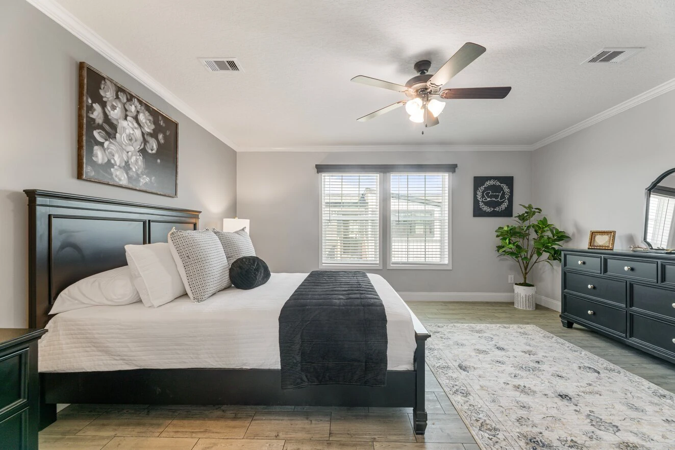 A modern bedroom with a large bed, black headboard, dark dresser, wall art, potted plant, area rug, and ceiling fan, with two windows letting in natural light.